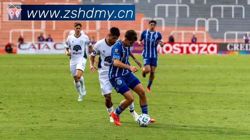 雅博体育app官方入口平台生态图