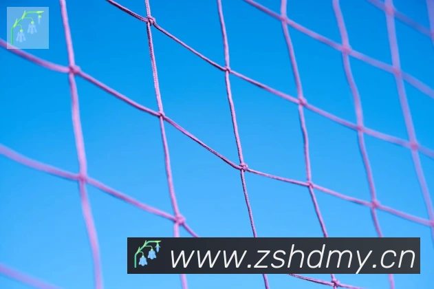 雅博体育app官方入口服务体系