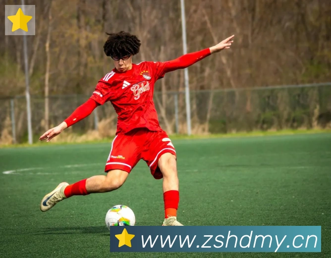 雅博体育app官方入口荣誉