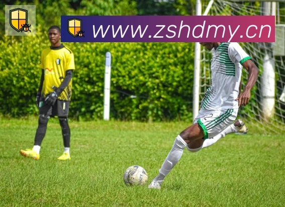 雅博体育app官方入口荣誉