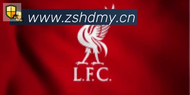 雅博体育app官方入口合作伙伴