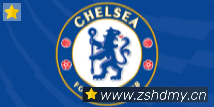 雅博体育app官方入口合作伙伴